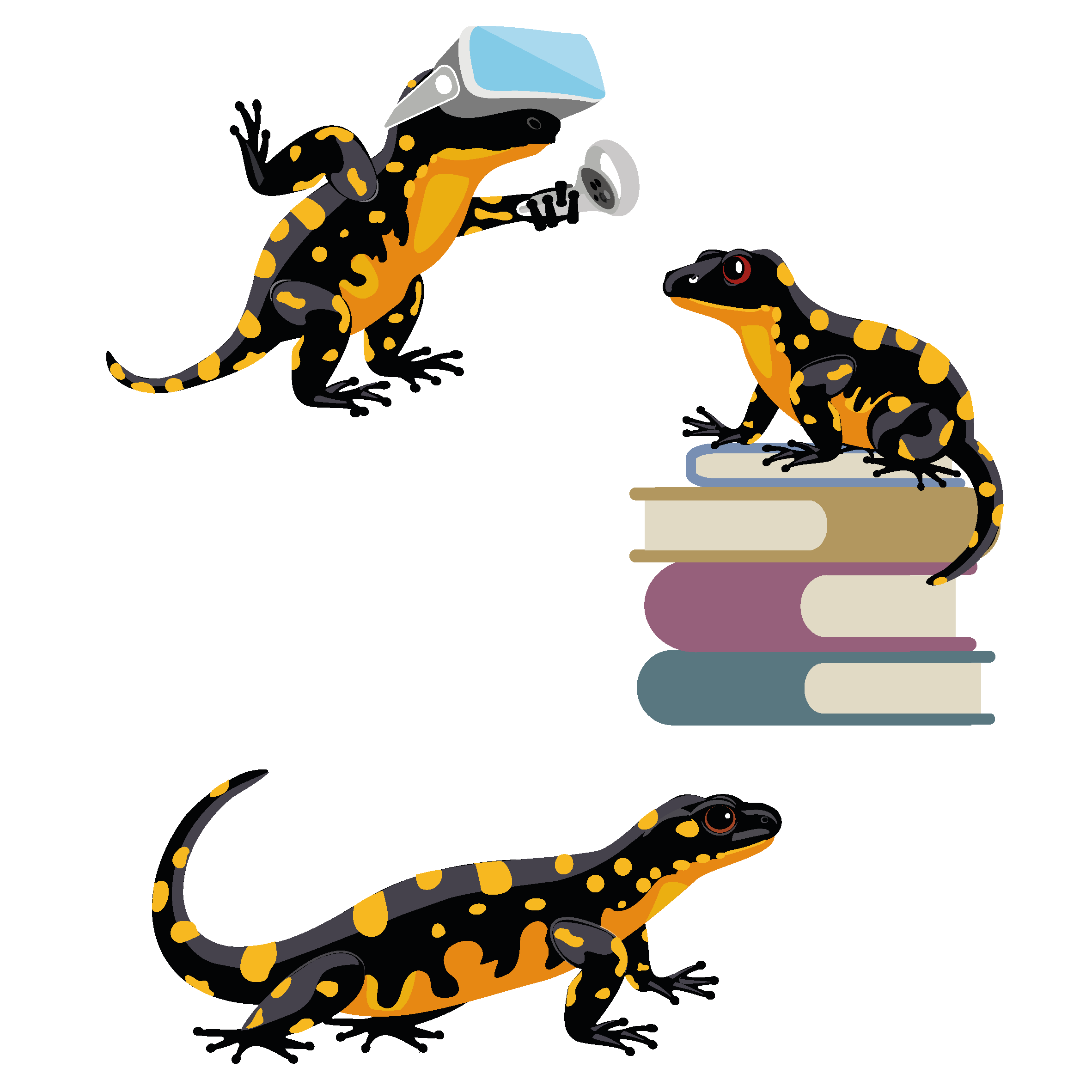 Lernmedien Illustration | Weiterbildung, Tiercharakter: Der heimische Salamander, mal auf einem Bücherstapel, mal mit Virtual Reality-Brille.